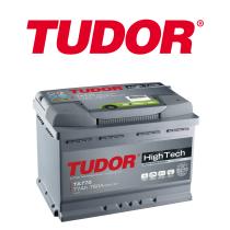 TUDOR TG1101 - BATERIA TUDOR PROF. STD.110 AMP.
