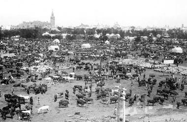 ANTIGUA FERIA DE GANADO