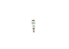 Bosch 0250202077 - PRODUCTO