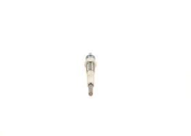 Bosch 0250202087 - PRODUCTO