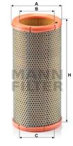 Mann Filter C13992 - FILTRO AIRE CAR