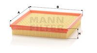 Mann Filter C2493 - FILTRO AIRE CAR