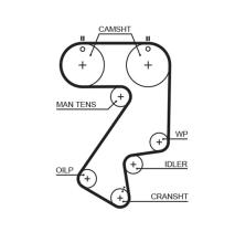 Gates 5404XS - CORREA DISTRIBUCION 5404XS 39177X25 GATES