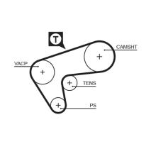 Gates 5513XS - CORREA DISTRIBUCION 5513XS 77129X18 GATES