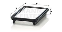 Mann Filter C24019 - FILTRO AIRE CAR