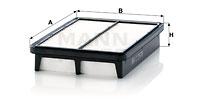 Mann Filter C25019 - FILTRO AIRE CAR
