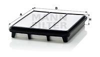 Mann Filter C2743 - FILTRO AIRE CAR