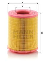 Mann Filter C29010 - FILTRO AIRE TRUCK