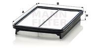 Mann Filter C29019 - FILTRO AIRE CAR