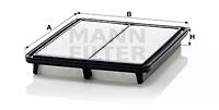Mann Filter C2941 - FILTRO AIRE CAR