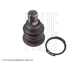 Blue Print ADA108609 - PRODUCTO