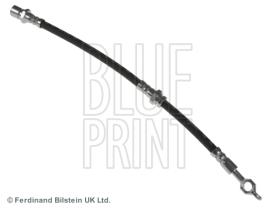 Blue Print ADG053110 - PRODUCTO