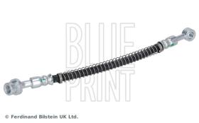 Blue Print ADG053116 - PRODUCTO