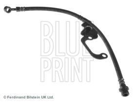 Blue Print ADG053156 - PRODUCTO