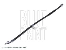 Blue Print ADG053172 - LATIGUILLO