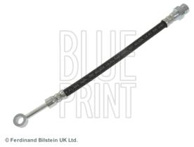 Blue Print ADG053206 - PRODUCTO