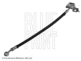 Blue Print ADG053208 - PRODUCTO