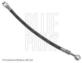 Blue Print ADG053219 - PRODUCTO