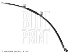 Blue Print ADG053239 - PRODUCTO