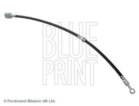 Blue Print ADG053248 - PRODUCTO