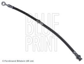 Blue Print ADG053272 - PRODUCTO