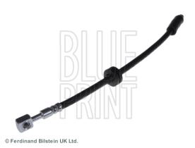 Blue Print ADG053278 - PRODUCTO
