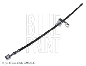 Blue Print ADG053279 - PRODUCTO