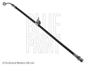 Blue Print ADG053289 - PRODUCTO