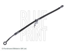 Blue Print ADG053294 - PRODUCTO