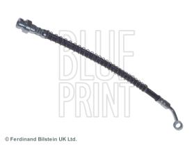 Blue Print ADG053299 - PRODUCTO