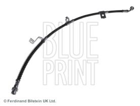 Blue Print ADG05342 - PRODUCTO