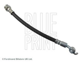Blue Print ADG05348 - PRODUCTO