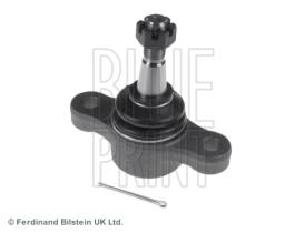 Blue Print ADG086119 - PRODUCTO