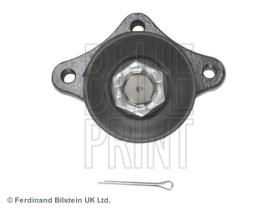 Blue Print ADG086175 - PRODUCTO