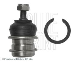 Blue Print ADG08632 - PRODUCTO