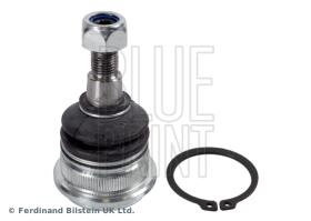 Blue Print ADG08652 - PRODUCTO