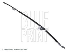 Blue Print ADJ135311 - LATIGUILLO