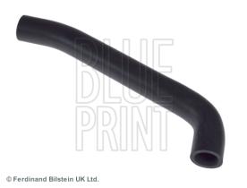 Blue Print ADJ136104 - PRODUCTO