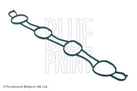 Blue Print ADJ136202 - PRODUCTO