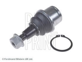 Blue Print ADJ138615 - PRODUCTO