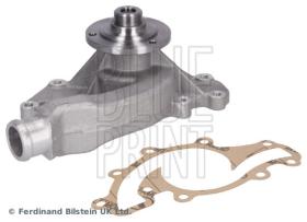 Blue Print ADJ139105 - PRODUCTO