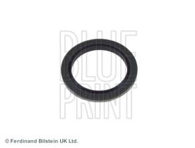 Blue Print ADL140102 - PRODUCTO
