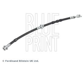 Blue Print ADN153137 - PRODUCTO