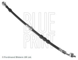 Blue Print ADN153138 - PRODUCTO