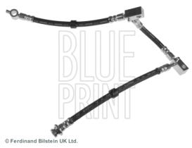 Blue Print ADN153161 - PRODUCTO