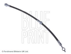 Blue Print ADN153182 - PRODUCTO
