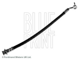 Blue Print ADN153235 - PRODUCTO