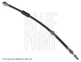Blue Print ADN153238 - PRODUCTO