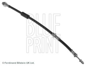 Blue Print ADN153239 - PRODUCTO