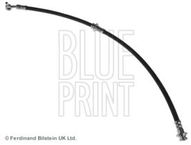 Blue Print ADN153248 - PRODUCTO